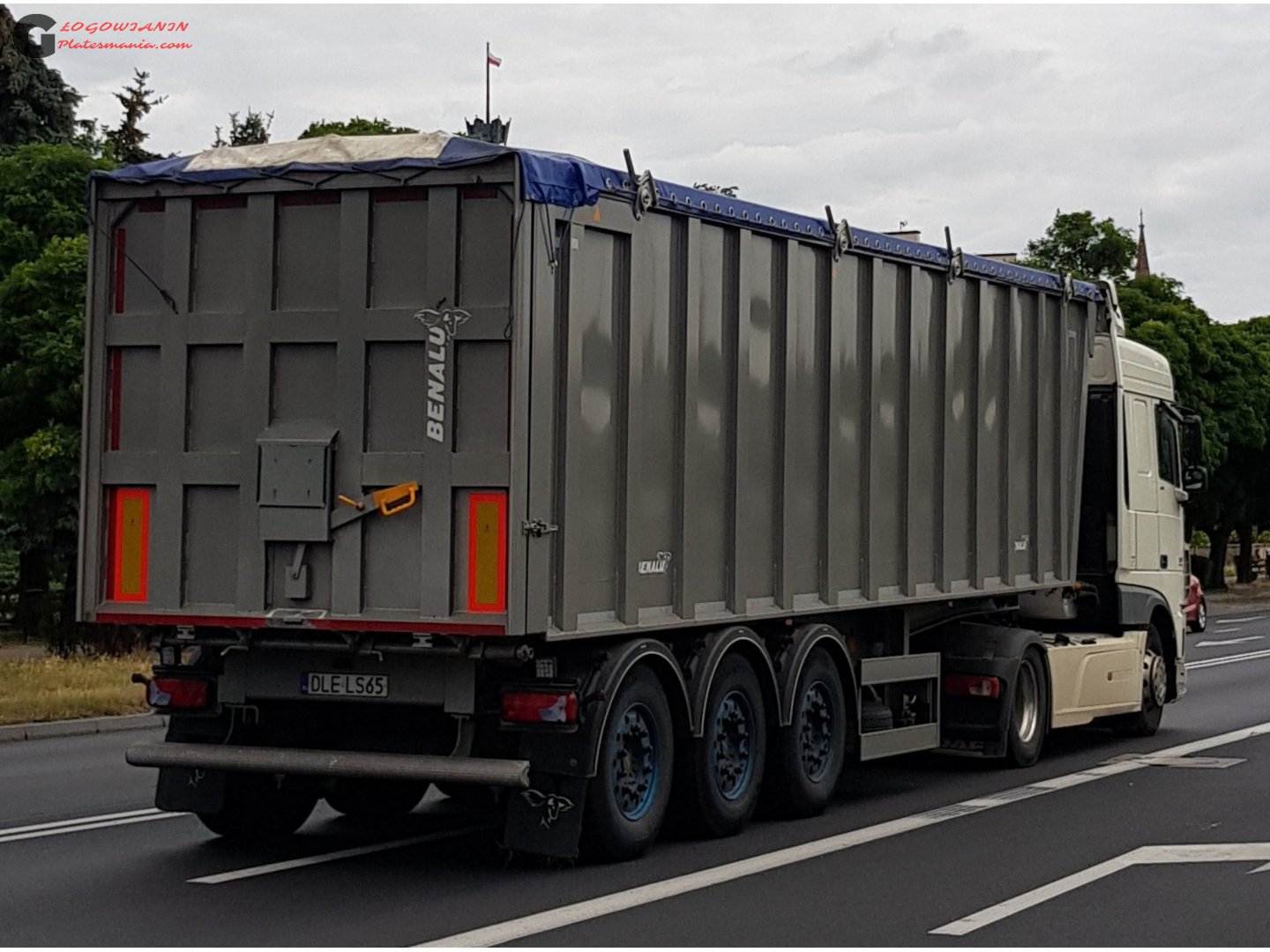 DLE LS65, Benalu 
