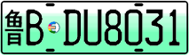 License plate of China, Electric vehicles