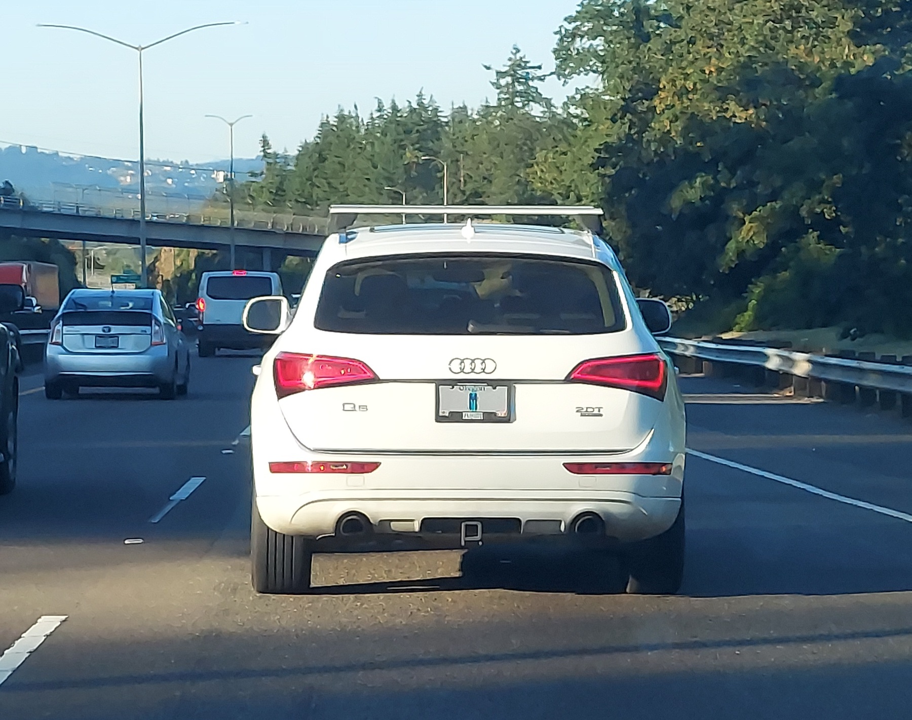 M, Audi Q5 1st gen (8RB), 2008–2017