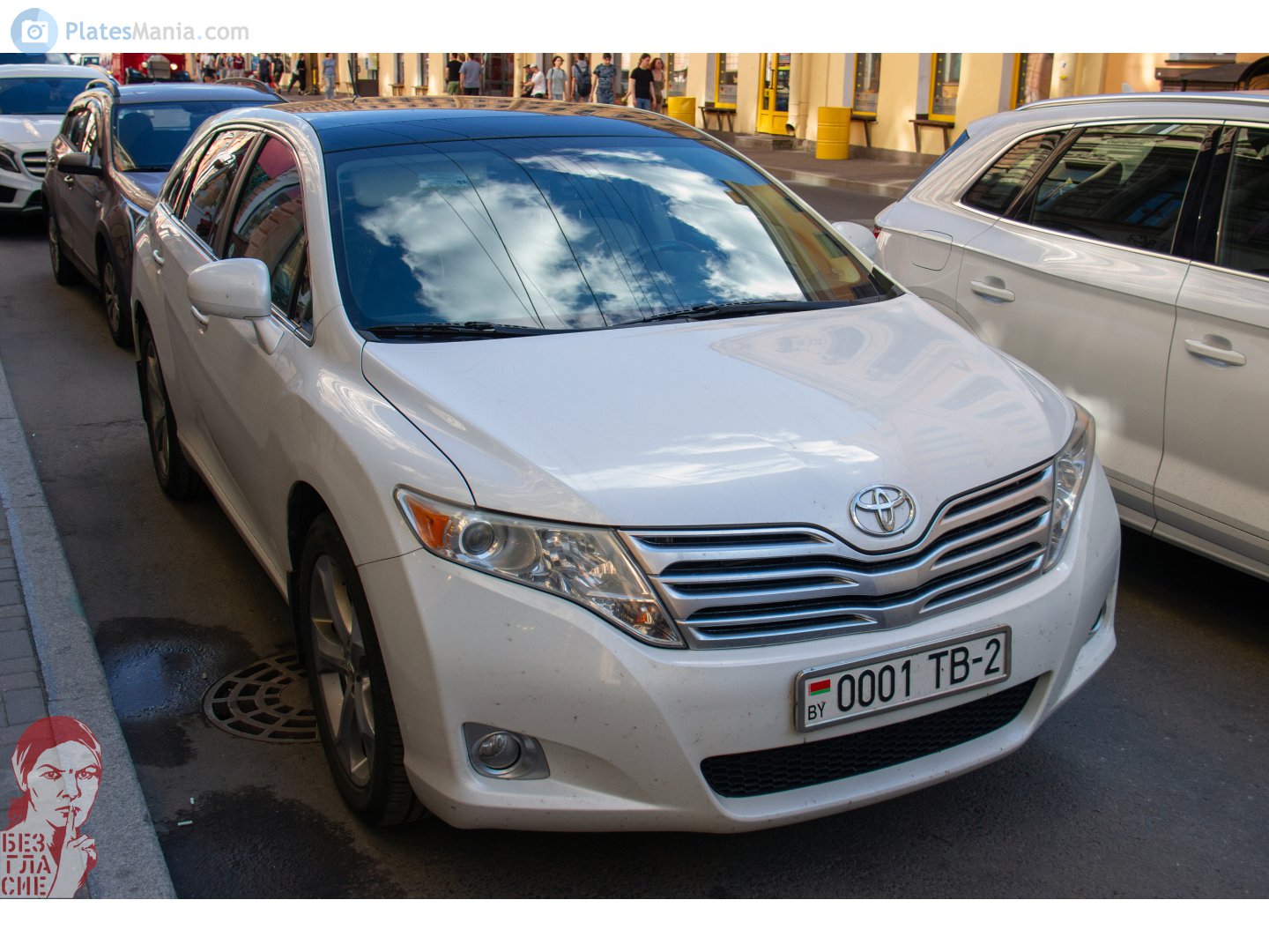 0001 TB-2, Toyota Venza 1st gen (AV10), 2009–2015