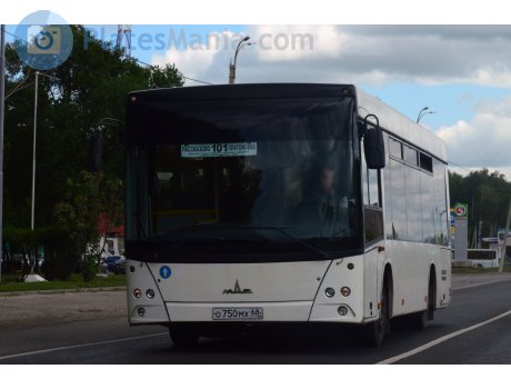 о750мх68, MAZ 206