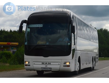 о993мх68, MAN Lion