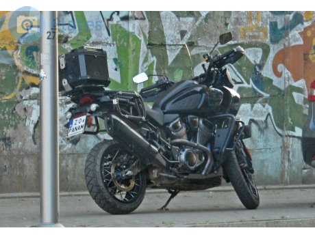 Z0 PANAM, Harley-Davidson Pan America