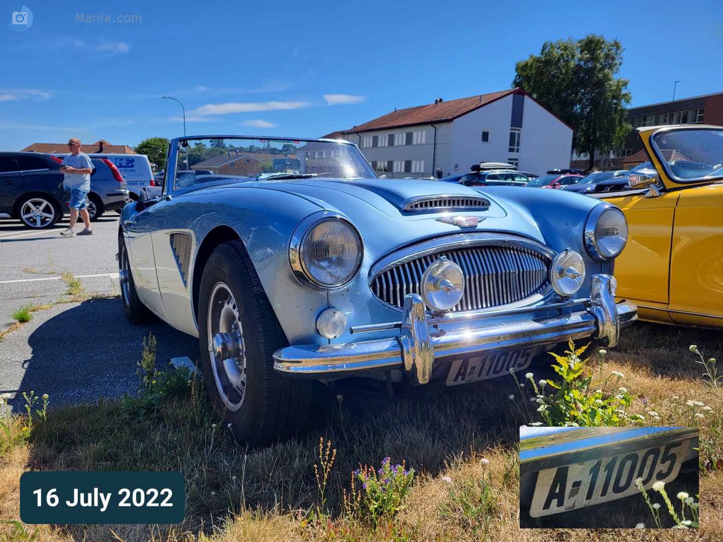 A-11005, Austin-Healey 100/3000 