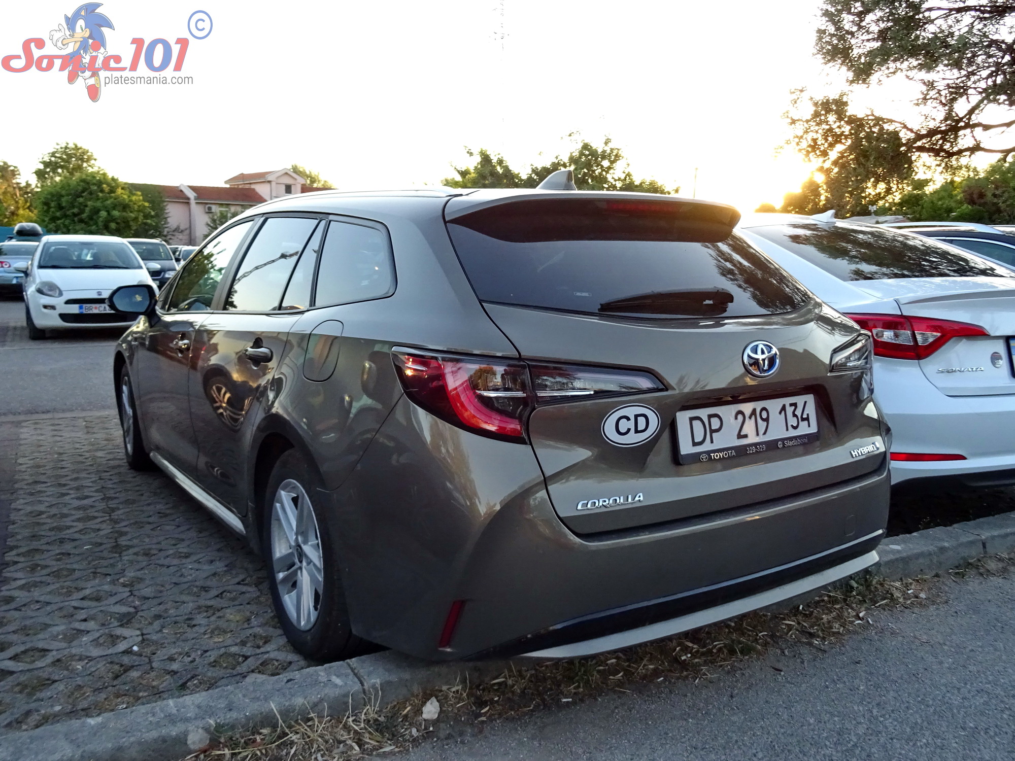 DP 219 134, Toyota Corolla 12th gen Touring Sports (E210), 2019–