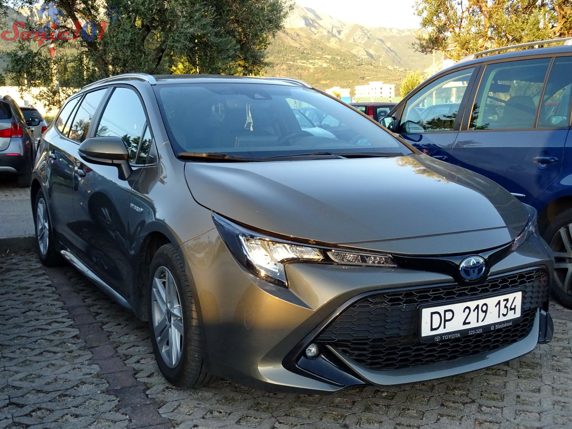 DP 219 134, Toyota Corolla 12th gen Touring Sports (E210), 2019–