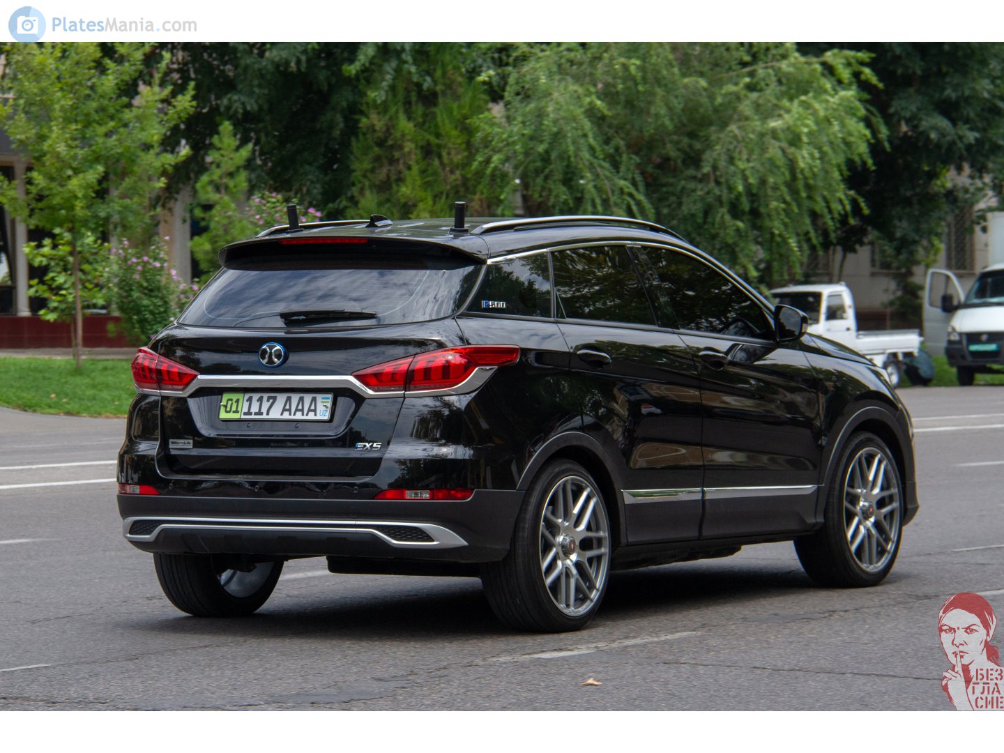 01 117 AAA, BJEV EX-Series EX5, 2019–2020