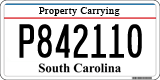 South Carolina, Property Carrying (P123456)