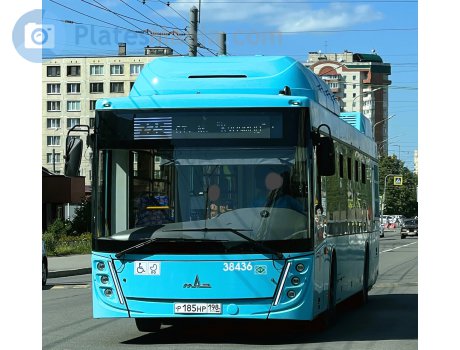 р185нр198, MAZ 203