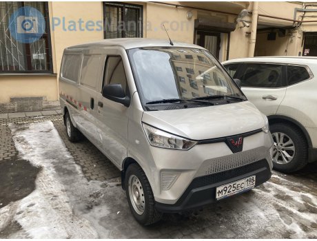 м925ес198, Wuling EV50
