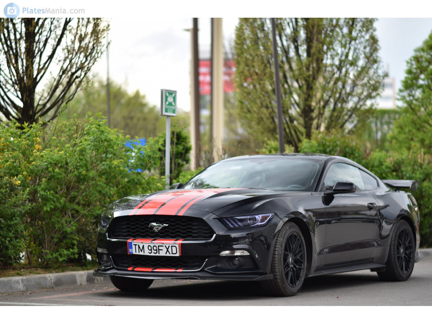 TM 99 FXD, Ford Mustang 6th gen 2-door Coupé (S550), 2014–2017