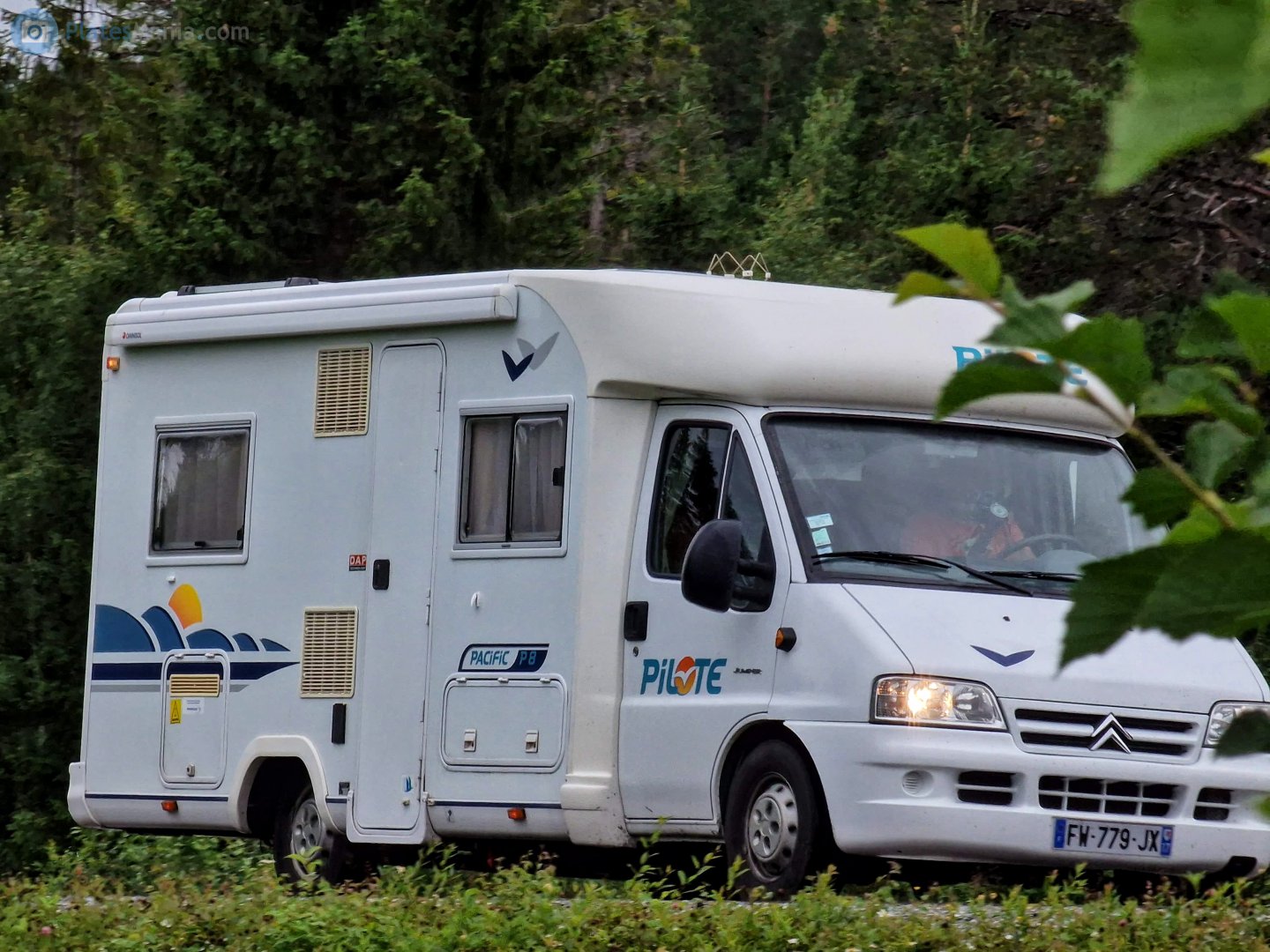 FW-779-JX, Pilote P-Series 