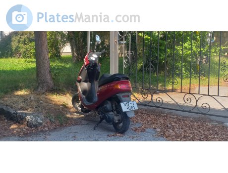 317-T-081, Peugeot Zenith