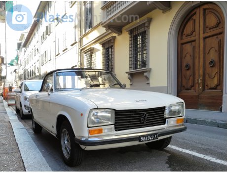 586943 FI, Peugeot 304