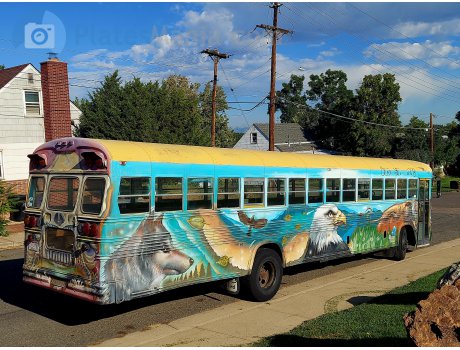 QZL-478, Blue Bird All American/Canadian