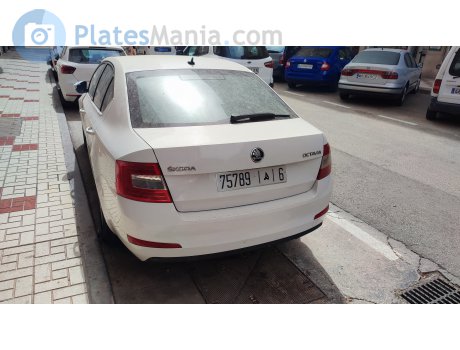 75789|‎ھ|‎6, Skoda Octavia