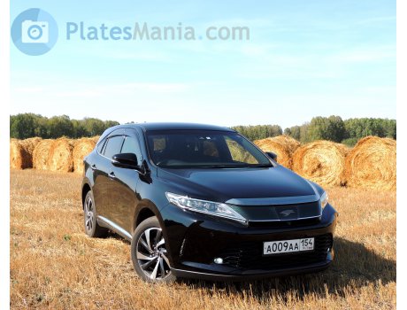 а009аа154, Toyota Harrier