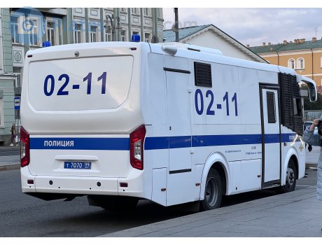 т 7070 99, PAZ 3203/3204