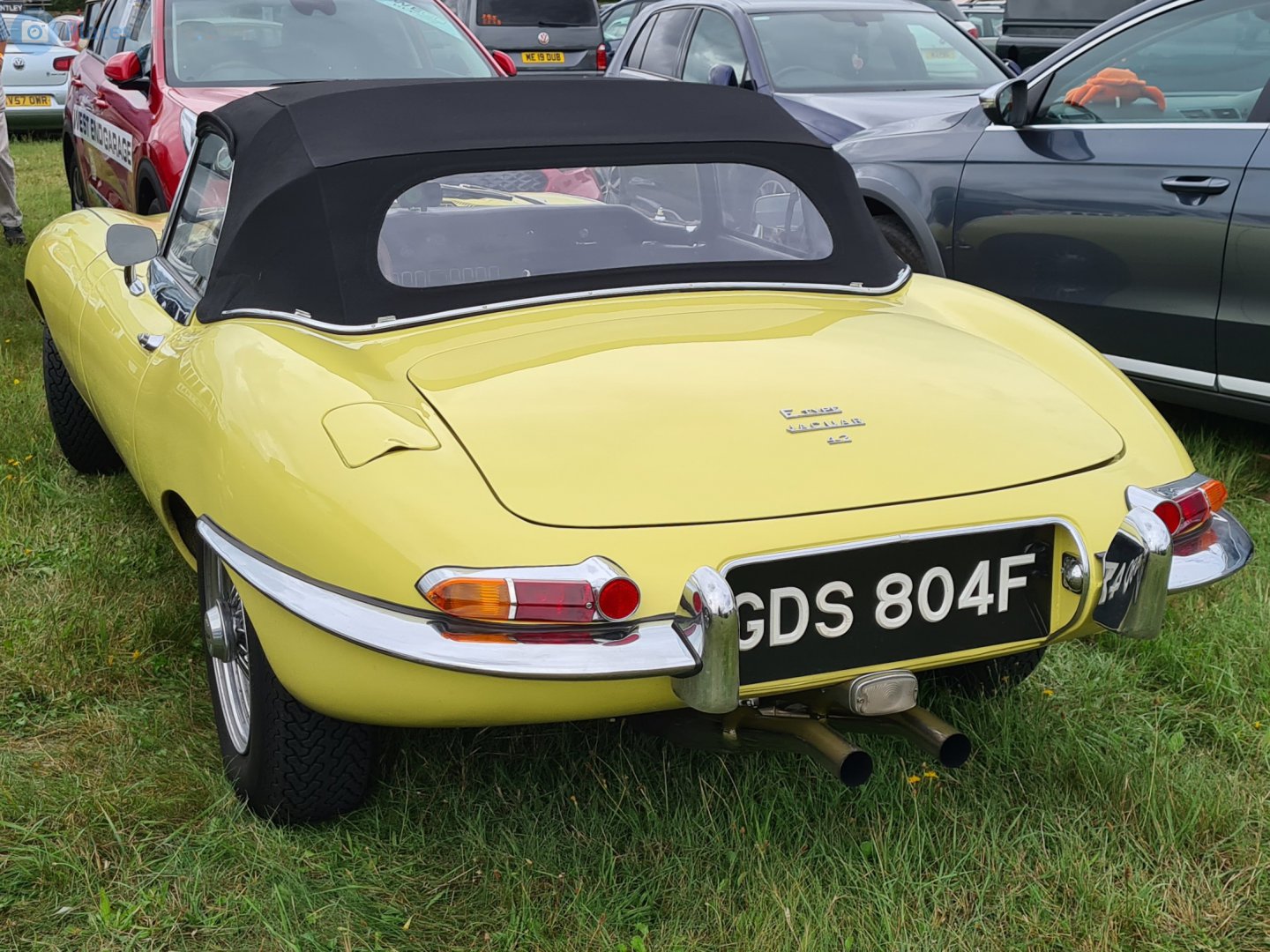 GDS804F, Jaguar E-Type 