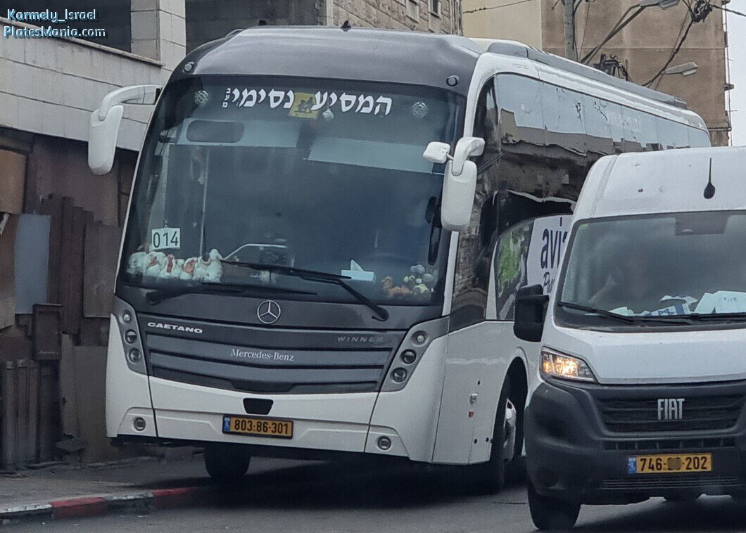 803-86-301, Caetano Winner 