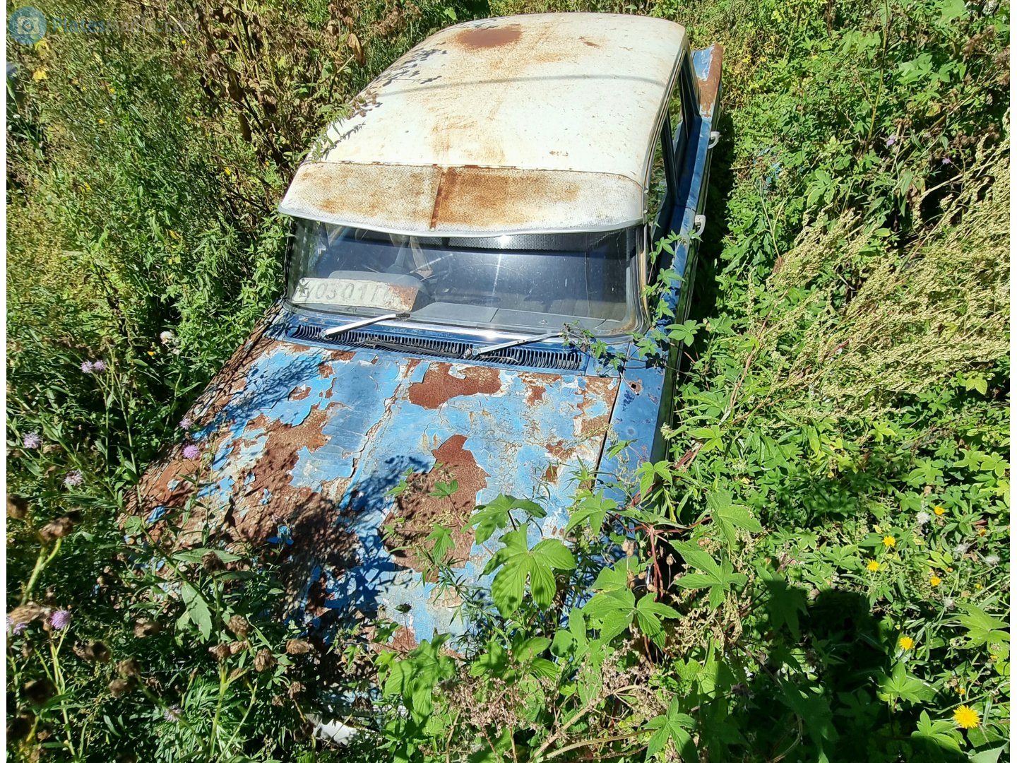 д 0301 ПК, Holden Special 4th gen Sedan (EJ/EH), 1962–1965