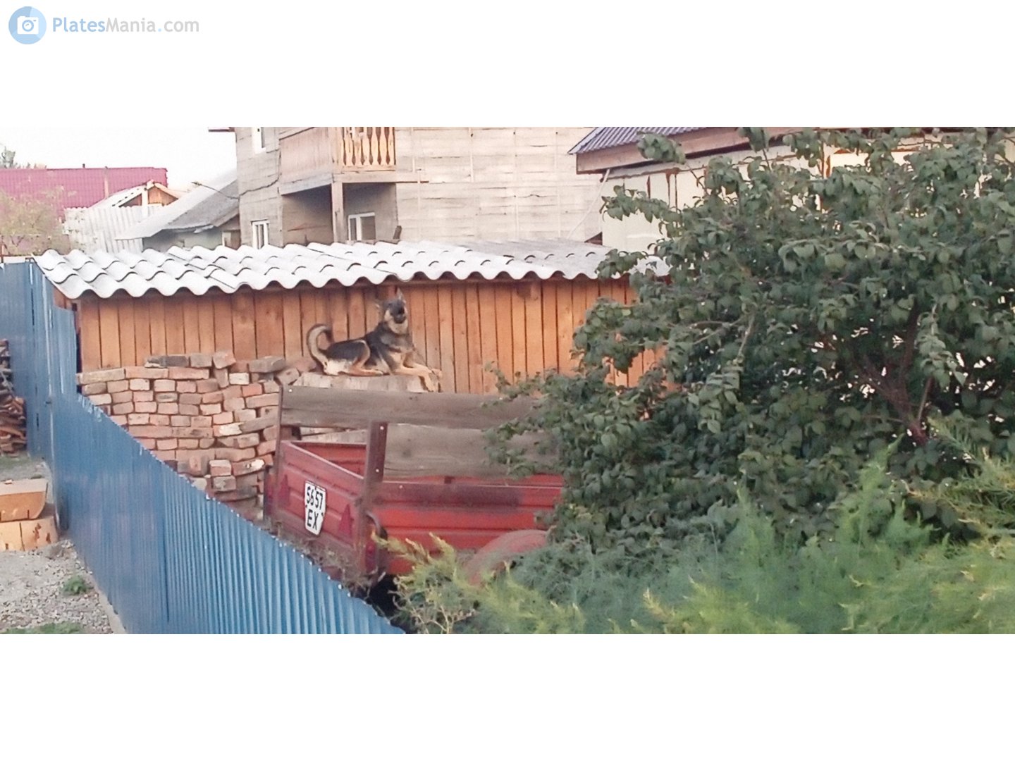 5657 ЕХ, Sibtral (KZAP / KZPT) 8140 