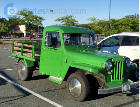 LIZARD, Willys Jeep Truck