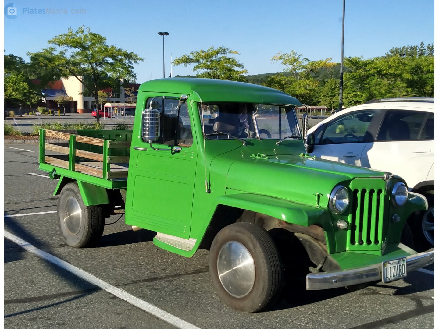 LIZARD, Willys Jeep Truck 