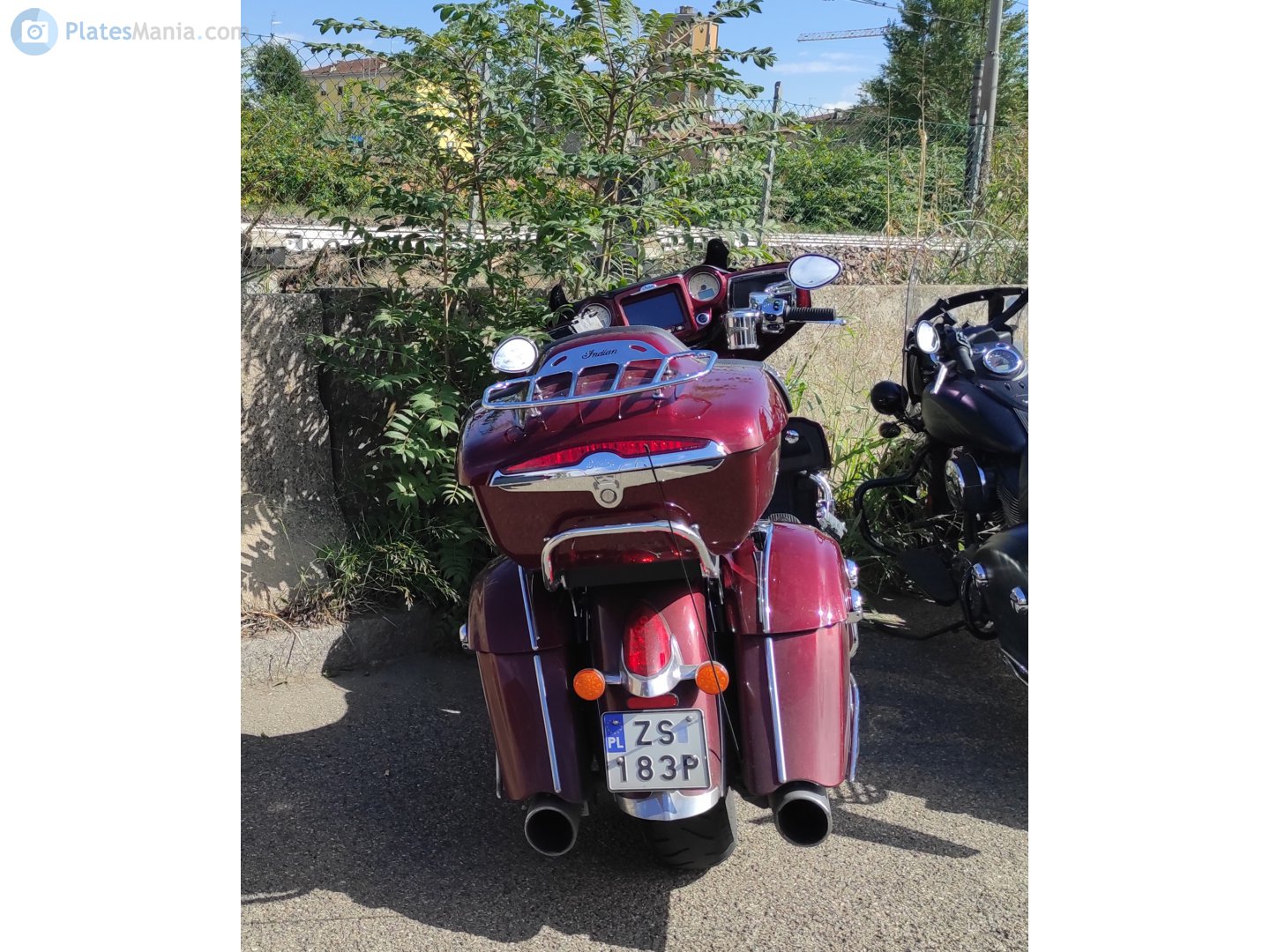 ZS 183P, Indian Springfield 