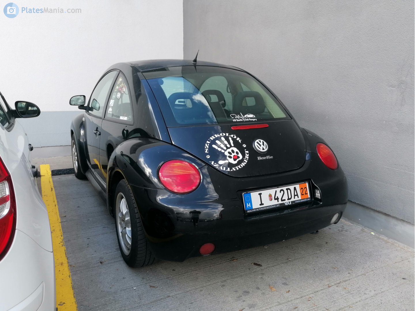 I 42DA, Volkswagen Beetle 2nd gen (New Beetle) Coupé (1C/9C), 1997–2005