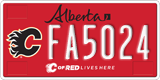 Alberta, Calgary Flames (FA1234)