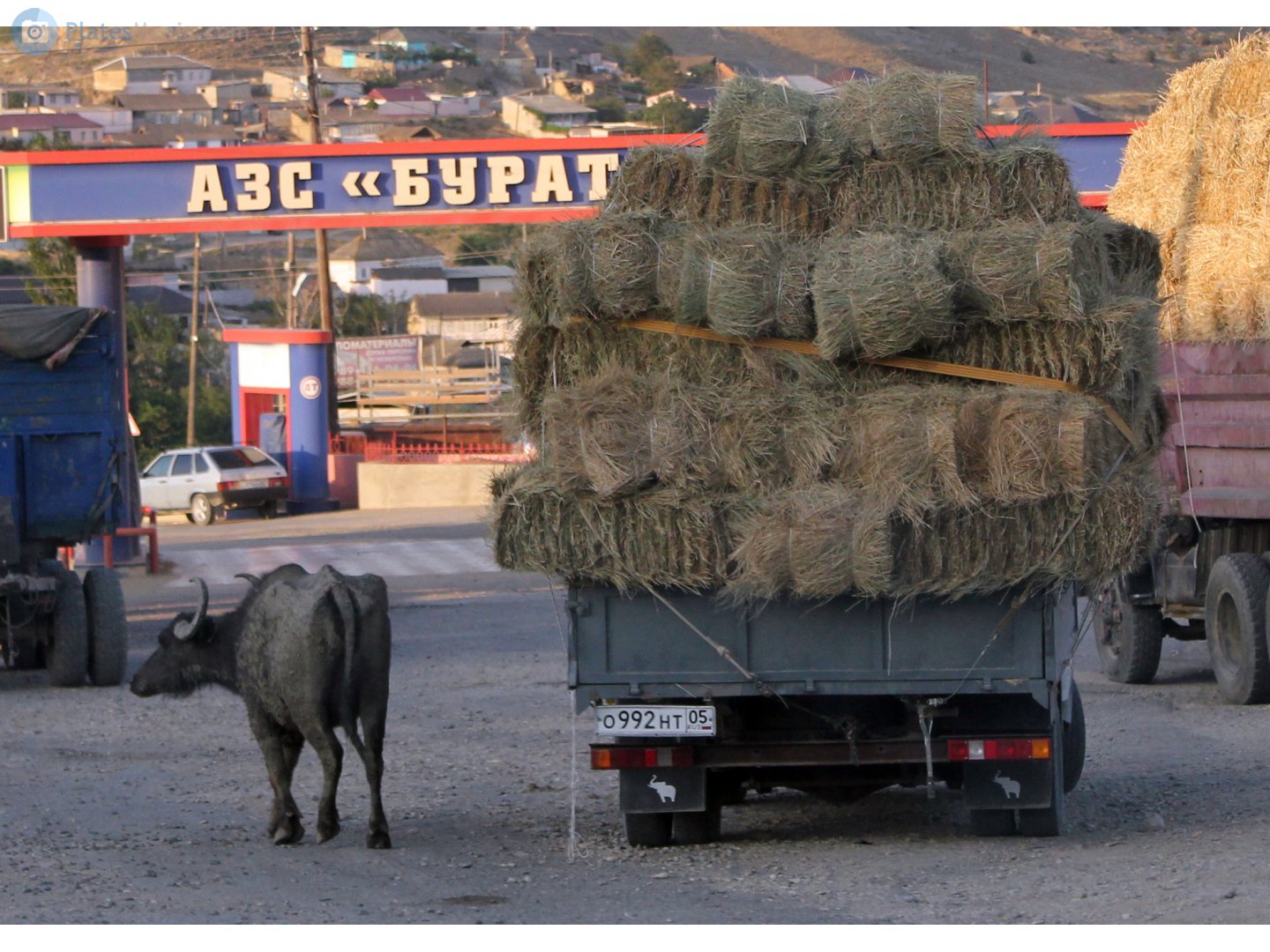 о 992 нт 05, GAZ 3302 ГАЗель 2-3302 Single Cab, facelift, 2003–