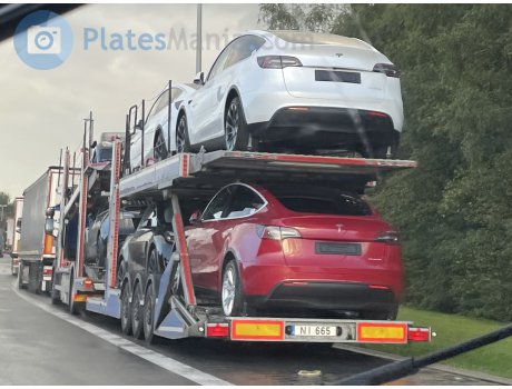 NI 665, Patikima Linija / RIMO PL-Series