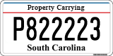 South Carolina, Property Carrying (P123456)