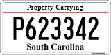 South Carolina, Property Carrying (P123456)