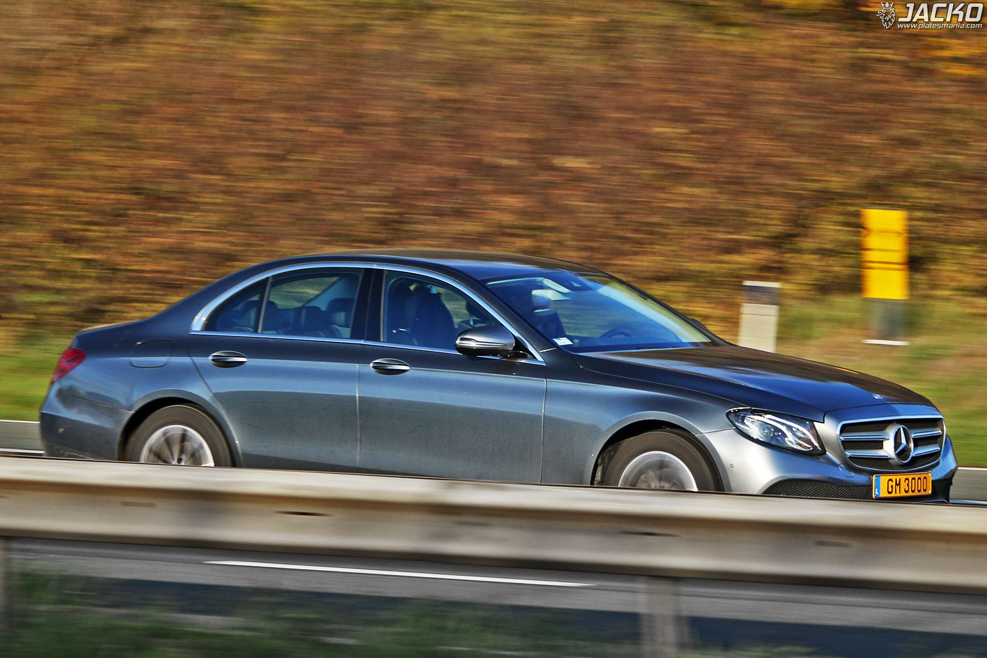 GM 3000, Mercedes-Benz E-Klasse 5th gen Sedan (V213/W213), 2016­–2020