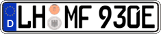 German license plate, Electric vehicles