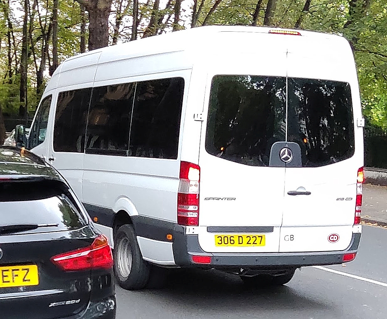 306D227, Mercedes-Benz Sprinter 2nd gen (W906), facelift, 2013–2018