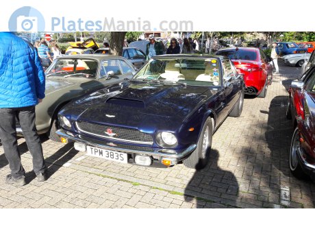TPM 383S, Aston Martin V8