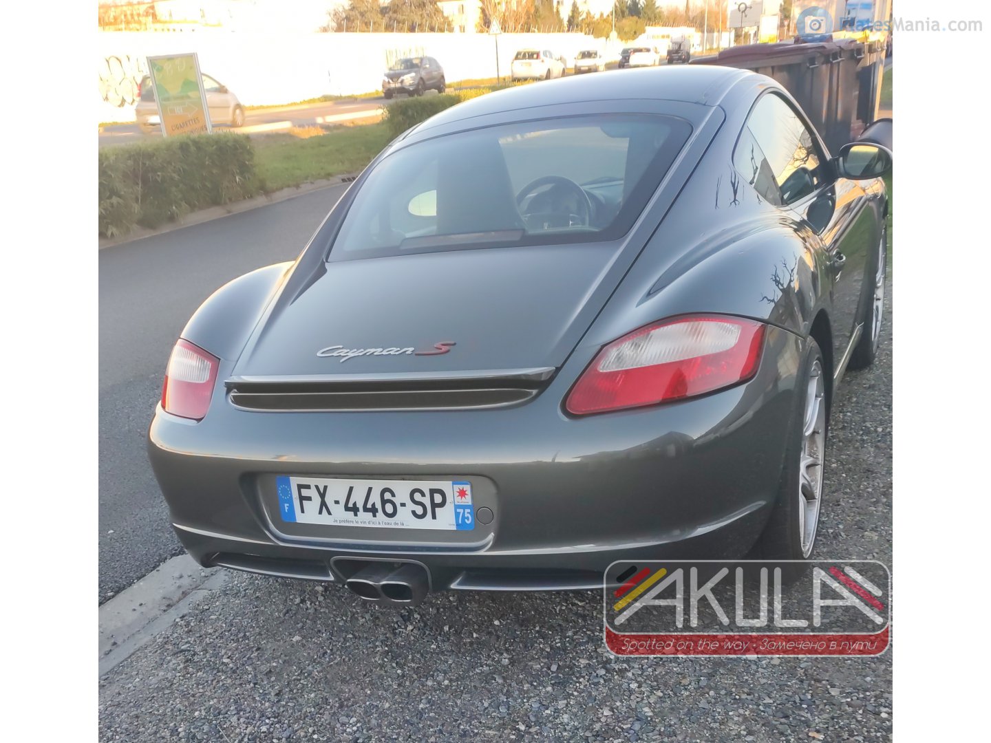 FX-446-SP, Porsche Cayman 1st gen (987C), 2005–2012