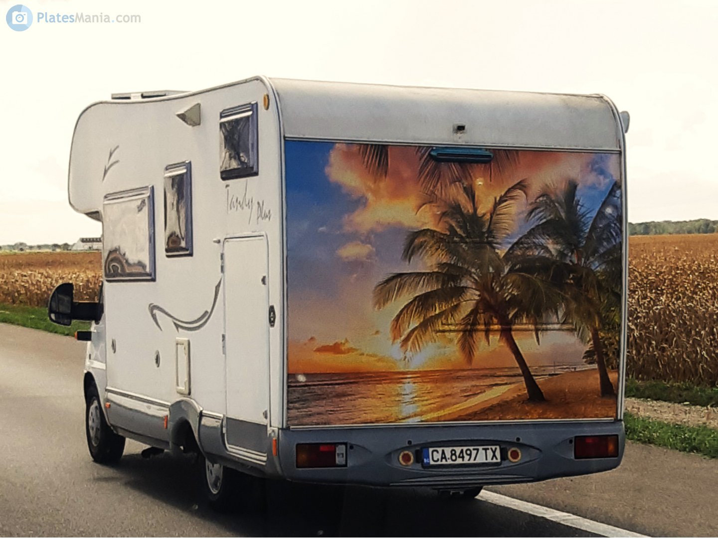 CA 8497 TX, McLouis Tandy 