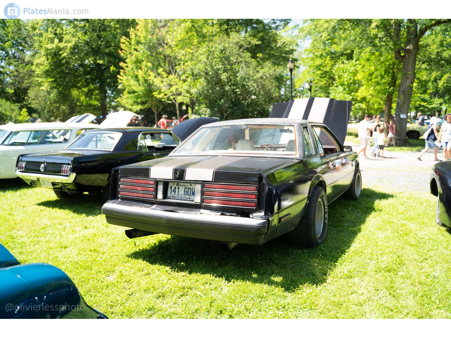 141 GDW, Dodge Mirada 1st gen (22; J-body), 1980–1983