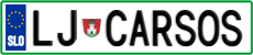 License plate of Slovenia, Vanity Plates
