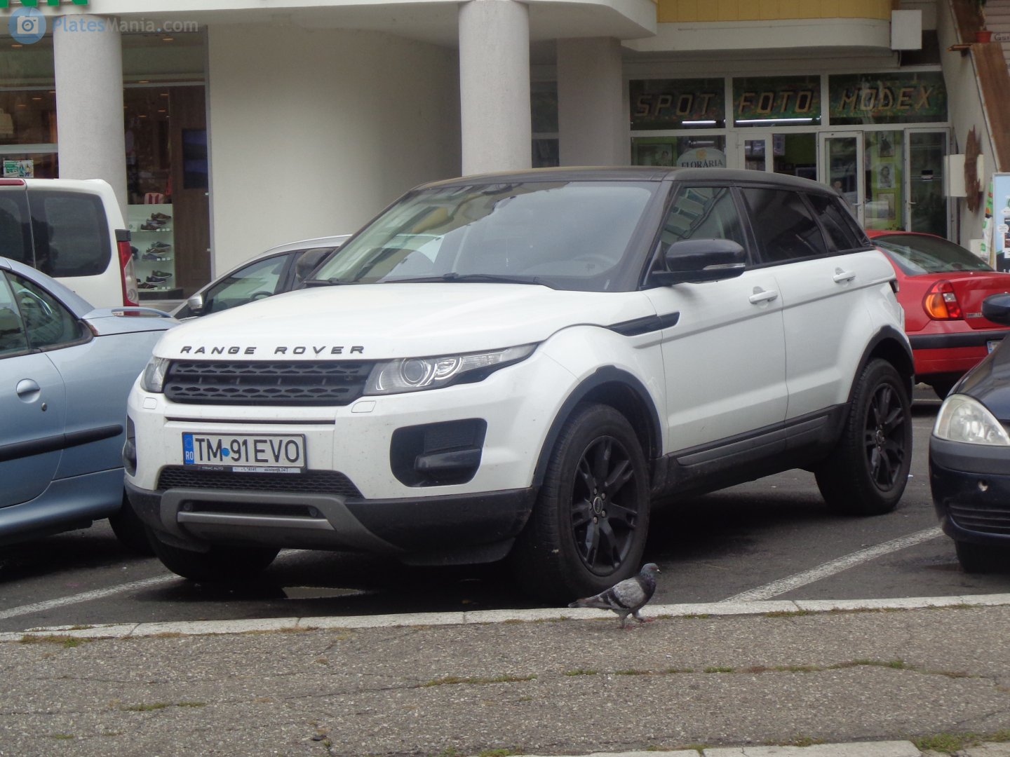 TM 91 EVO, Land Rover Range Rover Evoque 1st gen 5-door SUV (L538), 2011–2019