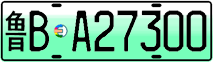 License plate of China, Electric vehicles