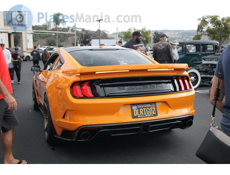 DLRIGO2, Saleen S302