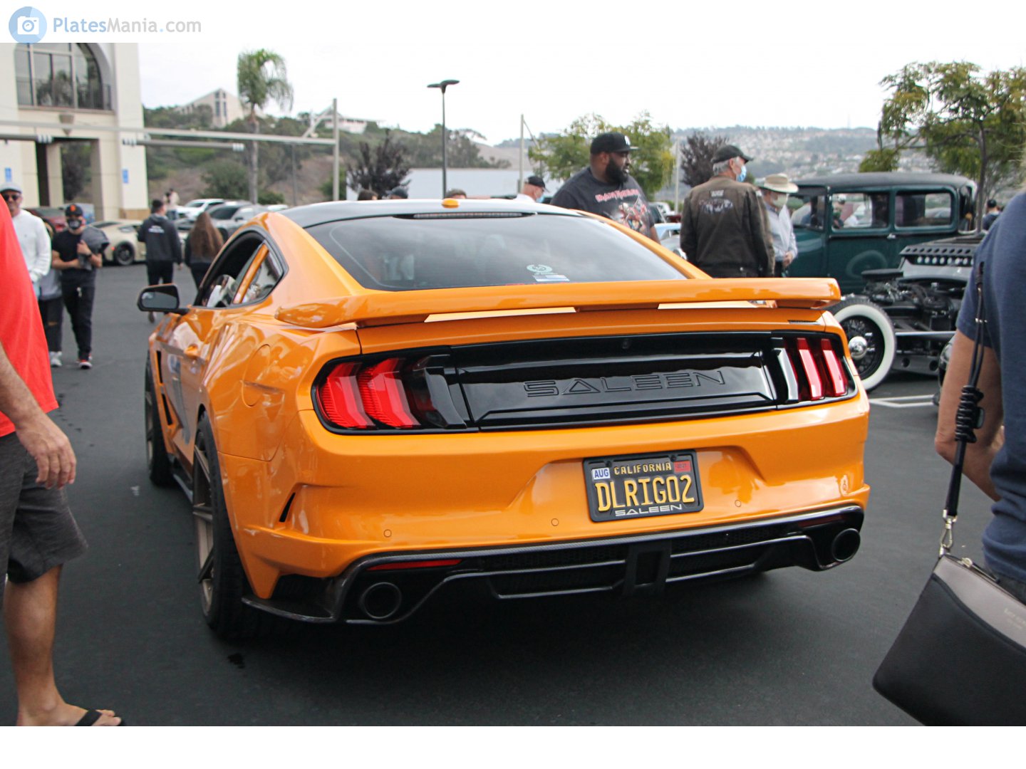 DLRIGO2, Saleen S302 