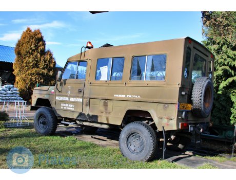 DSW 2G, FSR Tarpan Honker