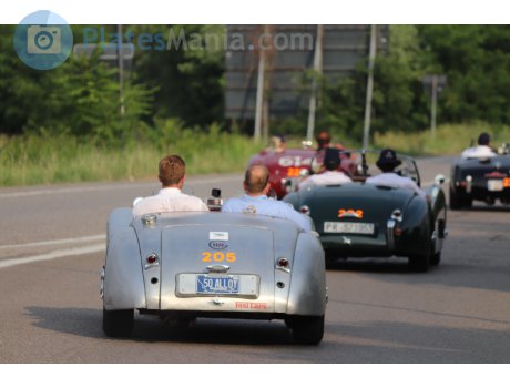 50 ALLOY, Jaguar XK120