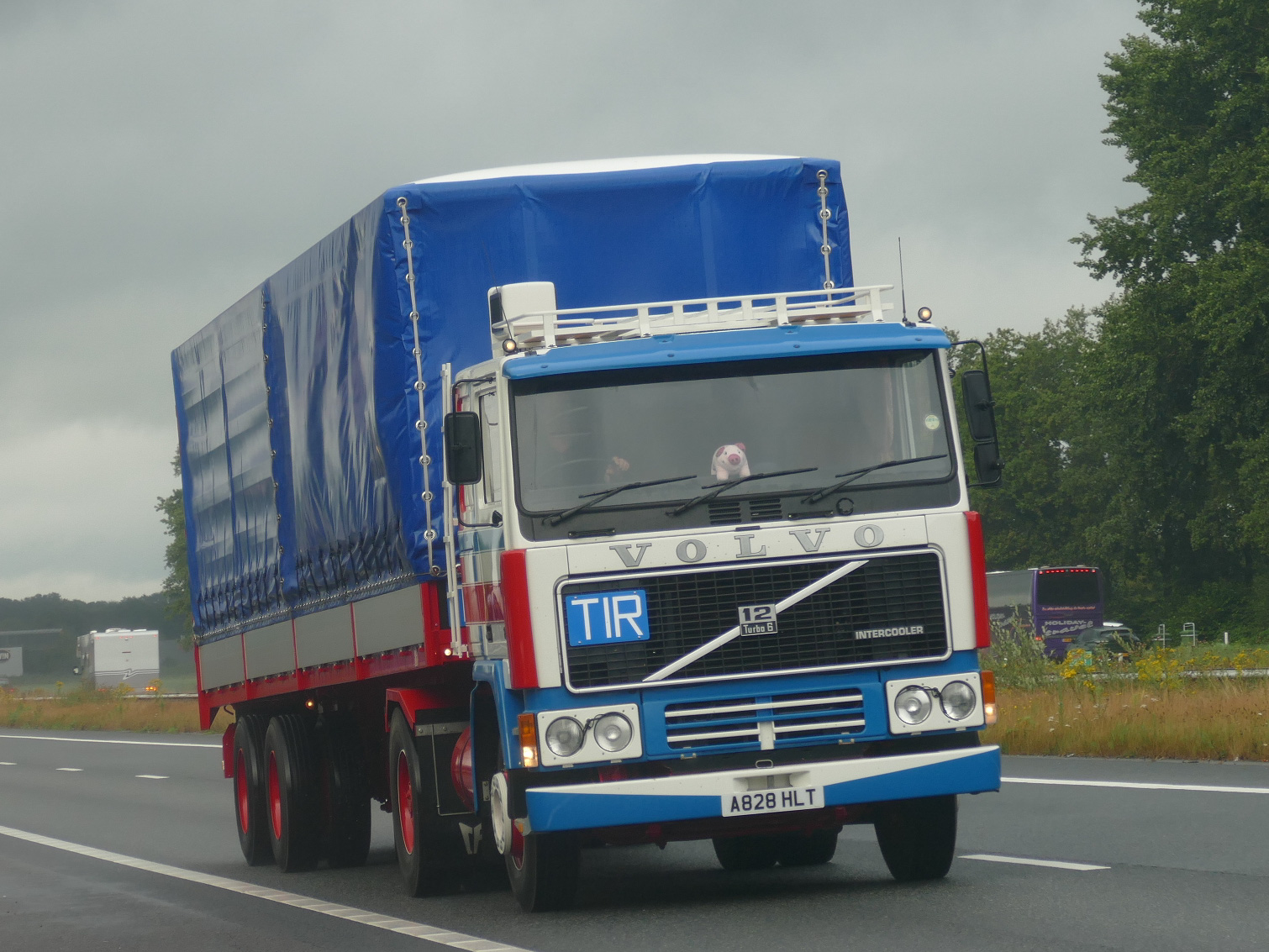 A828HLT, Volvo F12 